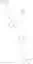 Fig. 303 - NEW ANTIBACTERIAL COMPOUNDS