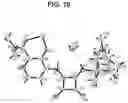 Fig. 11 - N-substituted-dioxocyclobutenylamino-3-hydroxy-picolinamides useful as CCR6 inhibitors