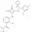 Fig. 162 - N-substituted-dioxocyclobutenylamino-3-hydroxy-picolinamides useful as CCR6 inhibitors