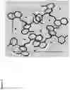 Fig. 08 - Crystalline forms of seletalisib