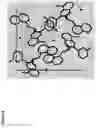 Fig. 09 - Crystalline forms of seletalisib