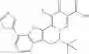 Fig. 383 - Functionalized heterocycles as antiviral agents