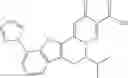 Fig. 406 - Functionalized heterocycles as antiviral agents