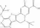 Fig. 66 - Functionalized heterocycles as antiviral agents