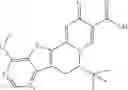 Fig. 68 - Functionalized heterocycles as antiviral agents