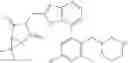 Fig. 229 - Ubiquitin-specific-processing protease 7 (USP7) modulators and uses thereof
