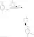 Fig. 103 - Tricyclic benzoxaborole compounds and uses thereof