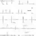 Fig. 23 - Silicone compounds comprising a benefit agent moiety