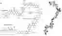 Fig. 01 - Bioadhesives