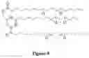 Fig. 07 - Bioadhesives