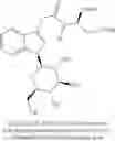 Fig. 05 - Indoleacetic acid derivative and preparation method and pharmaceutical use thereof