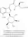 Fig. 12 - Indoleacetic acid derivative and preparation method and pharmaceutical use thereof
