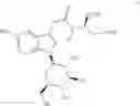 Fig. 25 - Indoleacetic acid derivative and preparation method and pharmaceutical use thereof