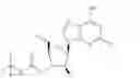 Fig. 09 - Prodrugs of clofarabine