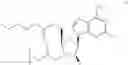 Fig. 12 - Prodrugs of clofarabine