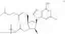 Fig. 14 - Prodrugs of clofarabine
