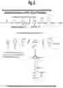 Fig. 03 - SITE-SELECTIVE FUNCTIONALIZATION OF PROTEINS USING TRACELESS AFFINITY LABELS