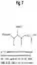 Fig. 08 - SITE-SELECTIVE FUNCTIONALIZATION OF PROTEINS USING TRACELESS AFFINITY LABELS