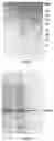 Fig. 06 - Process for the purification of recombinant antibody fragments