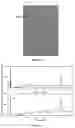 Fig. 08 - Process for the purification of recombinant antibody fragments