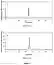 Fig. 09 - Process for the purification of recombinant antibody fragments
