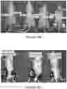 Fig. 22 - Peptides capable of reactivating p53 mutants