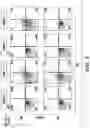 Fig. 05 - MODULATION OF THE IMMUNE RESPONSE