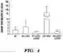 Fig. 06 - MODULATION OF THE IMMUNE RESPONSE