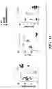 Fig. 16 - MODULATION OF THE IMMUNE RESPONSE