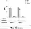 Fig. 22 - MODULATION OF THE IMMUNE RESPONSE