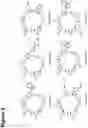 Fig. 03 - Homodetic cyclic peptides targeting alpha-4-beta-7 integrin