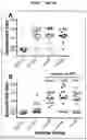 Fig. 06 - Factor H binding protein variants and methods of use thereof