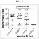 Fig. 10 - Factor H binding protein variants and methods of use thereof