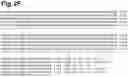 Fig. 15 - Compositions relating to a mutant clostridium difficile toxin and methods thereof