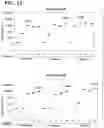 Fig. 25 - Compositions relating to a mutant clostridium difficile toxin and methods thereof