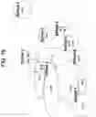 Fig. 33 - Compositions relating to a mutant clostridium difficile toxin and methods thereof