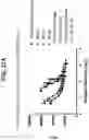 Fig. 37 - Compositions relating to a mutant clostridium difficile toxin and methods thereof