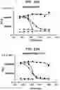 Fig. 43 - Compositions relating to a mutant clostridium difficile toxin and methods thereof