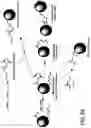 Fig. 47 - Compositions relating to a mutant clostridium difficile toxin and methods thereof