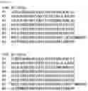 Fig. 02 - RNA-binding protein