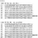 Fig. 08 - RNA-binding protein