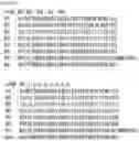 Fig. 11 - RNA-binding protein