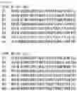 Fig. 20 - RNA-binding protein