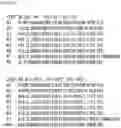 Fig. 25 - RNA-binding protein