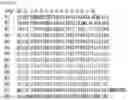 Fig. 28 - RNA-binding protein