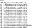 Fig. 29 - RNA-binding protein
