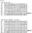 Fig. 34 - RNA-binding protein