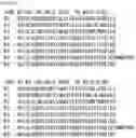 Fig. 35 - RNA-binding protein