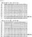 Fig. 49 - RNA-binding protein