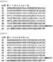 Fig. 53 - RNA-binding protein